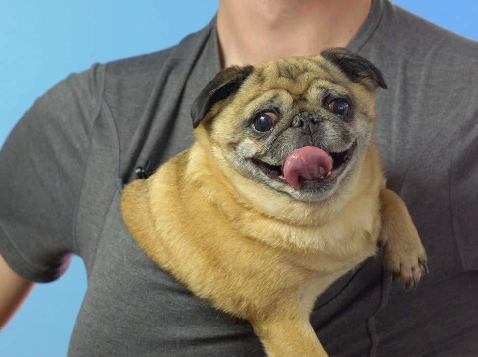 man wearing a shirt holding a dog