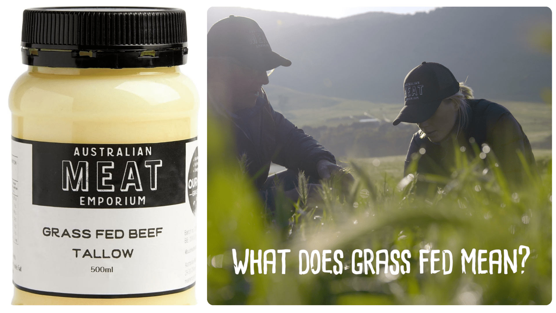 Dog Friendly Co 拼贴画